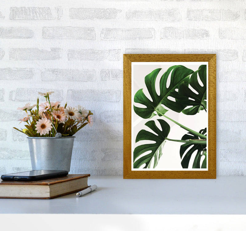 Monstera Leaf Modern Print, Framed Botanical & Nature Art Print A4 Print Only