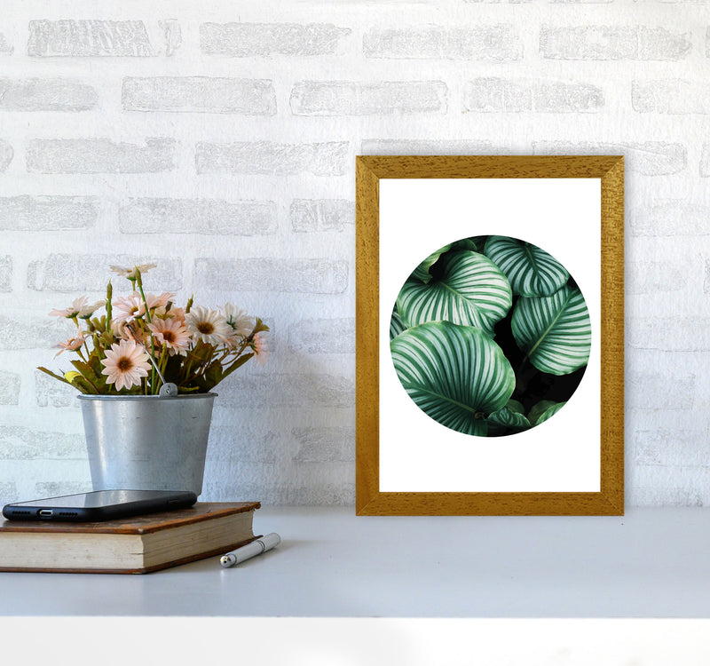 Green Leaves Circle Modern Print, Framed Botanical & Nature Art Print A4 Print Only