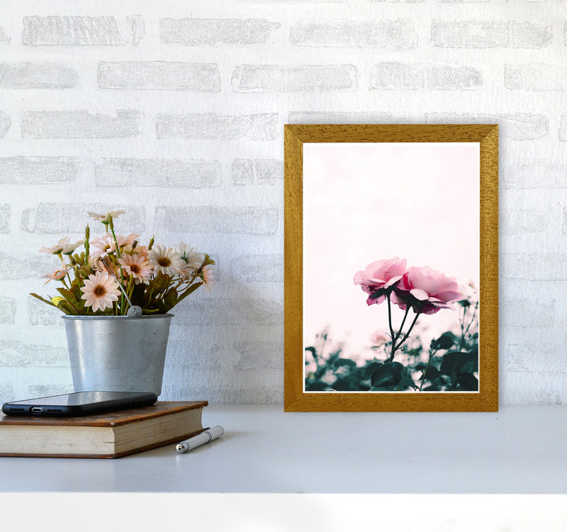 Pink Rose Modern Print, Framed Botanical & Nature Art Print A4 Print Only