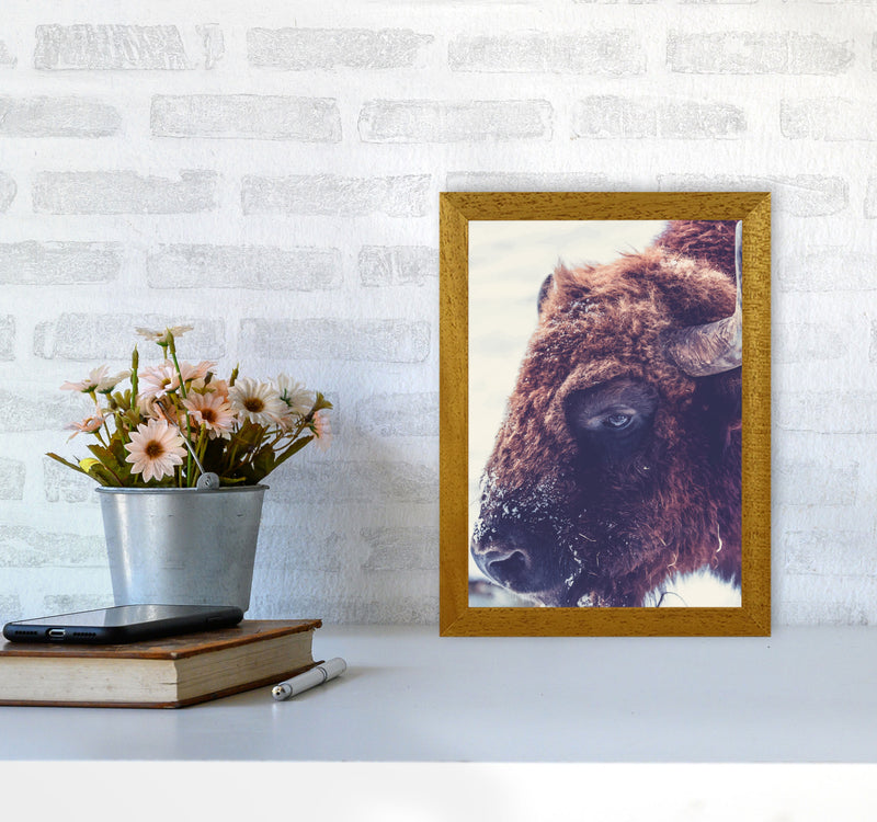 Bull Modern Print Animal Art Print A4 Print Only