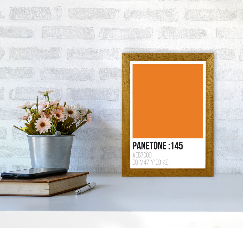 Panetone Colours 145 Modern Print A4 Print Only