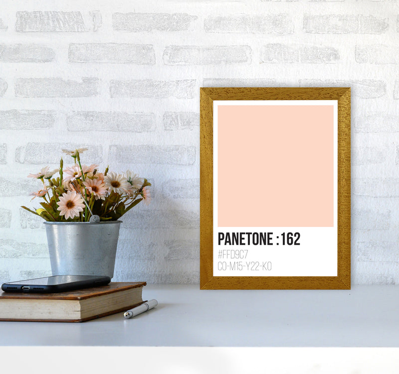 Panetone Colours 162 Modern Print A4 Print Only