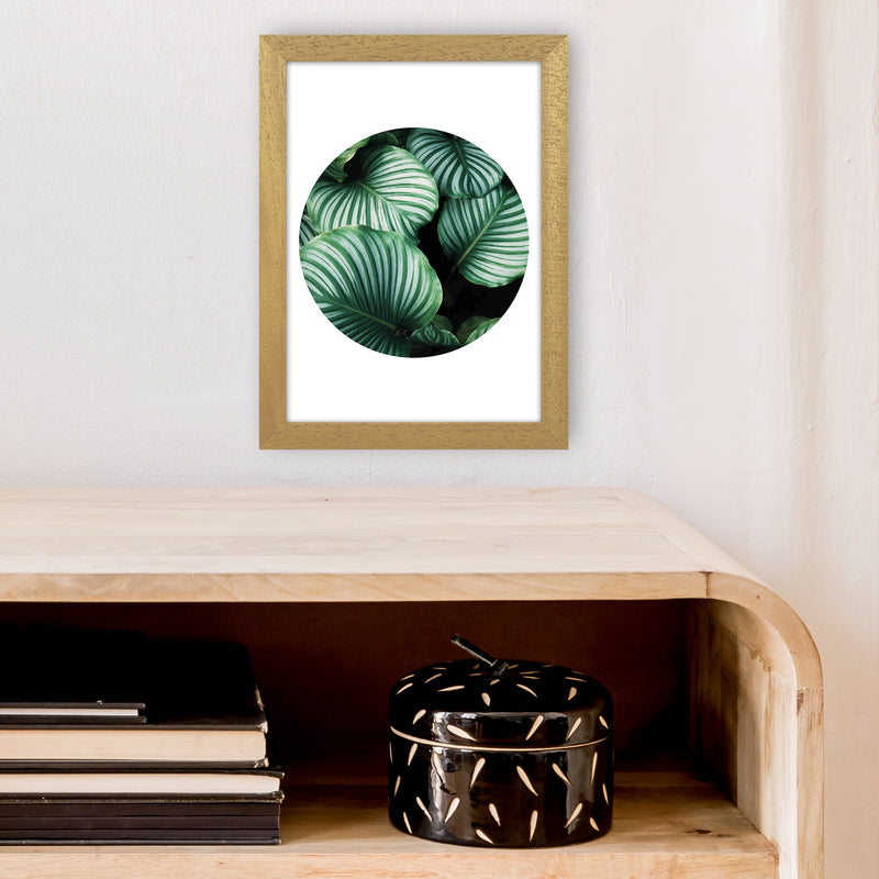 Green Leaf Circle Window  Art Print by Pixy Paper A4 Print Only