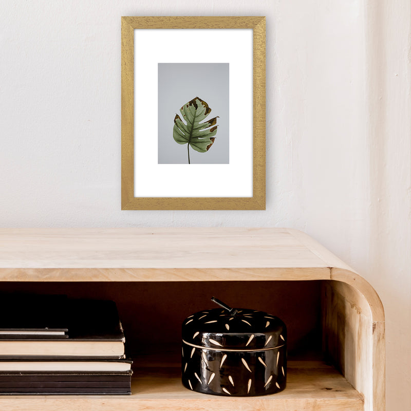 Old Leaf Grey Box  Art Print by Pixy Paper A4 Print Only