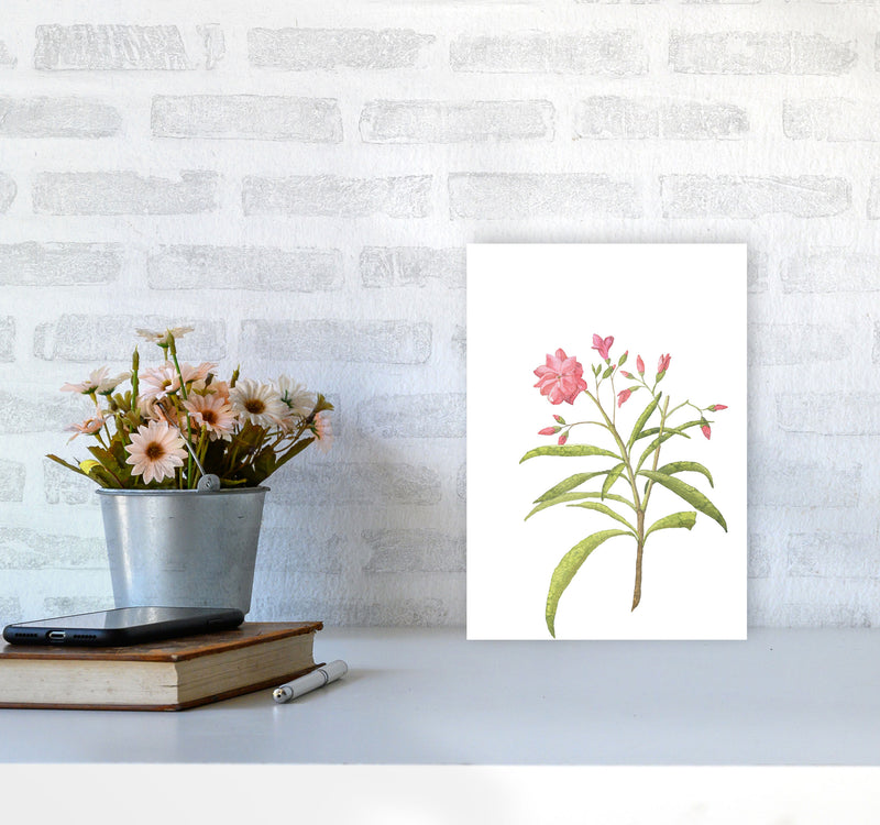 Pink Flower Modern Print, Framed Botanical & Nature Art Print A4 Black Frame