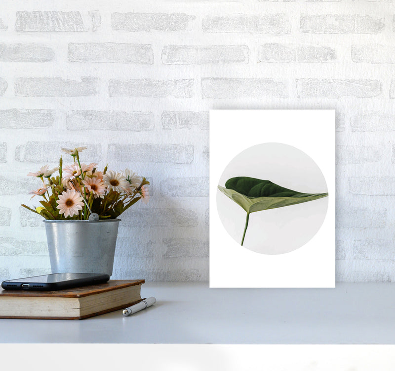 Doc Leaf Modern Print, Framed Botanical & Nature Art Print A4 Black Frame