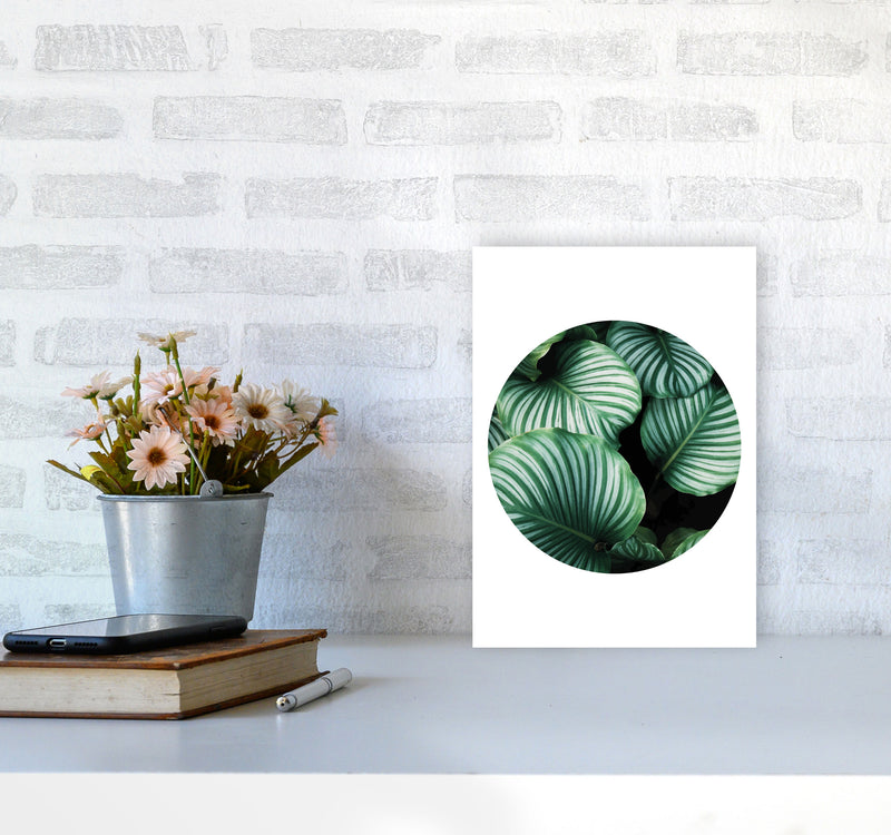 Green Leaves Circle Modern Print, Framed Botanical & Nature Art Print A4 Black Frame