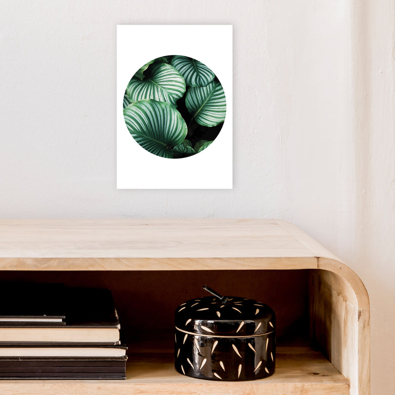 Green Leaf Circle Window  Art Print by Pixy Paper A4 Black Frame