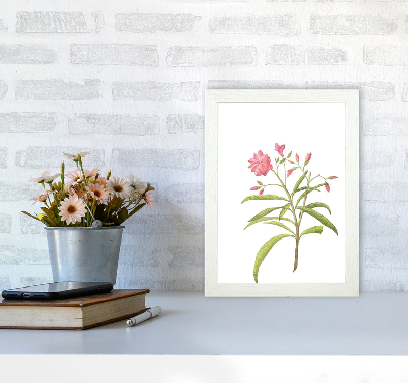Pink Flower Modern Print, Framed Botanical & Nature Art Print A4 Oak Frame