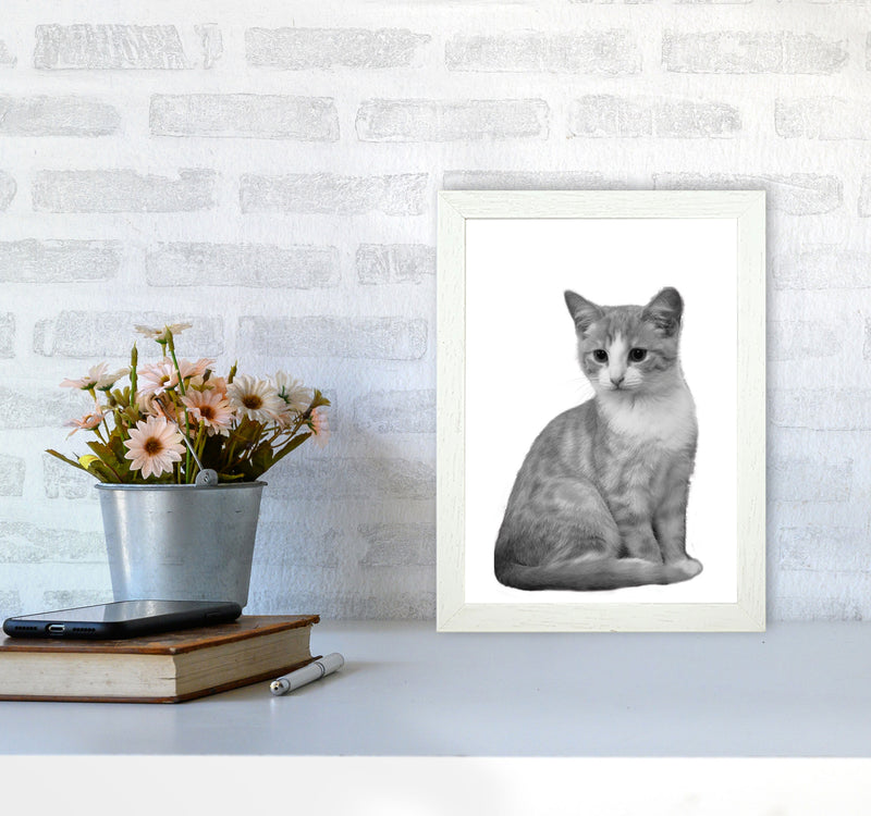 Black And White Cat Modern Print Animal Art Print A4 Oak Frame