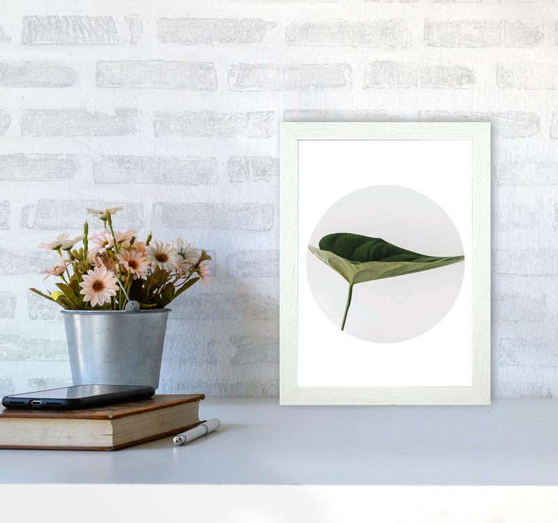 Doc Leaf Modern Print, Framed Botanical & Nature Art Print A4 Oak Frame
