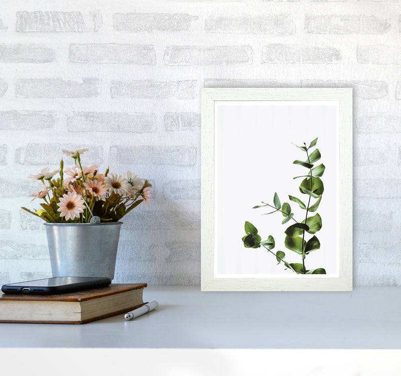 Elegant Green Plant Modern Print, Framed Botanical & Nature Art Print A4 Oak Frame