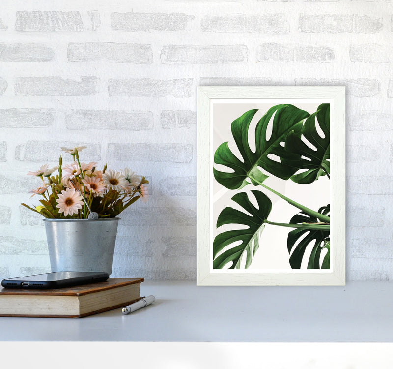 Monstera Leaf Modern Print, Framed Botanical & Nature Art Print A4 Oak Frame