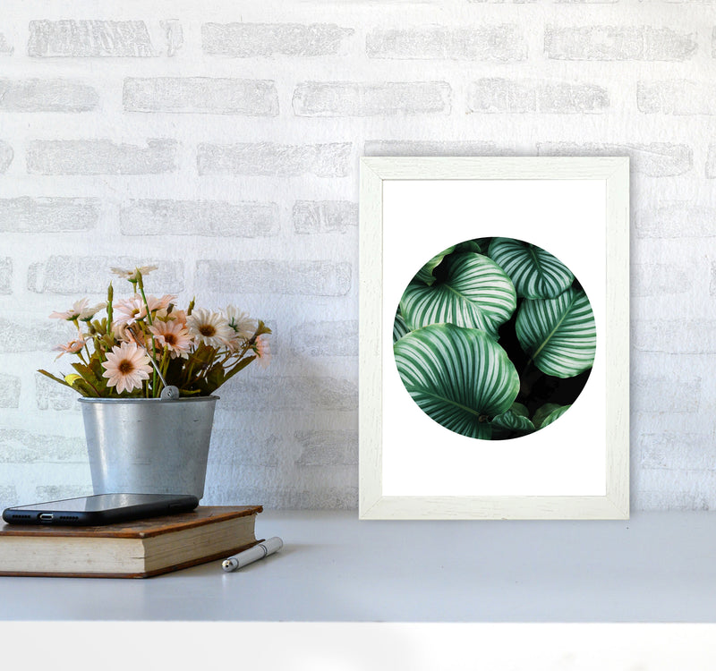 Green Leaves Circle Modern Print, Framed Botanical & Nature Art Print A4 Oak Frame