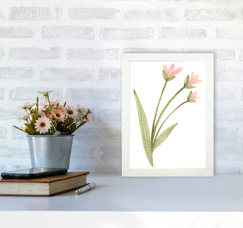 Pink Watercolour Flower 1 Modern Print A4 Oak Frame