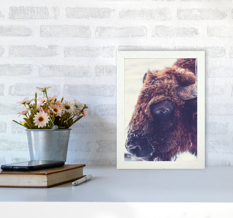 Bull Modern Print Animal Art Print A4 Oak Frame