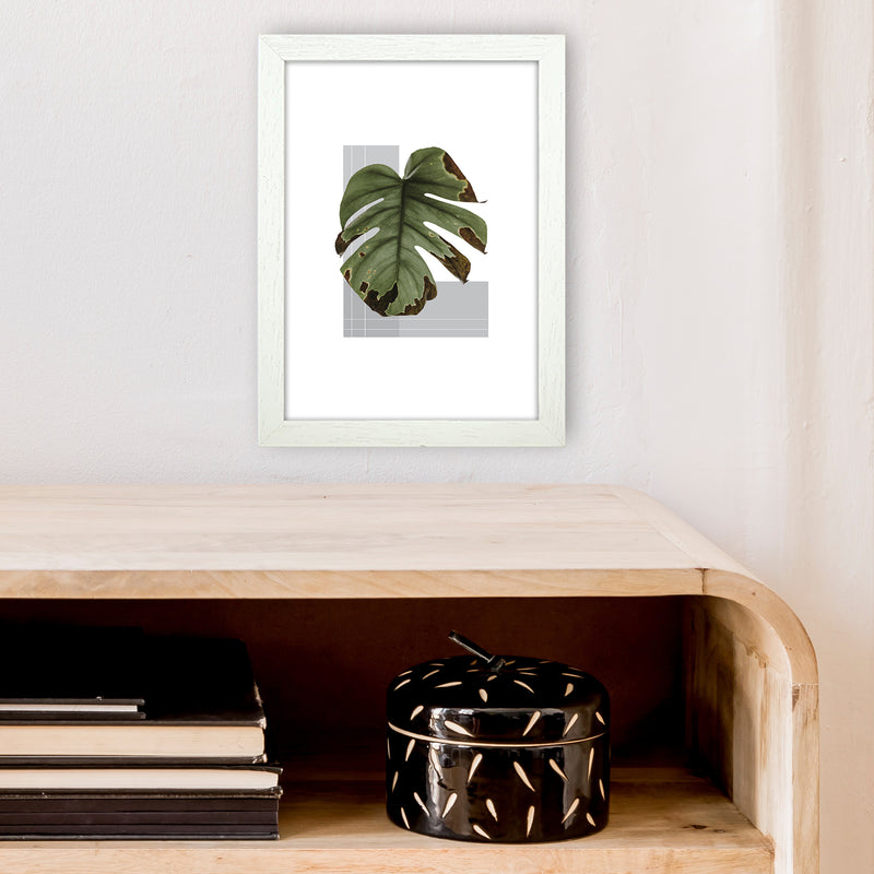 Green Leaf Grey  Art Print by Pixy Paper A4 Oak Frame