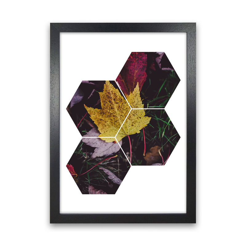 Leaf And Grass Abstract Hexagons Modern Print Black Grain