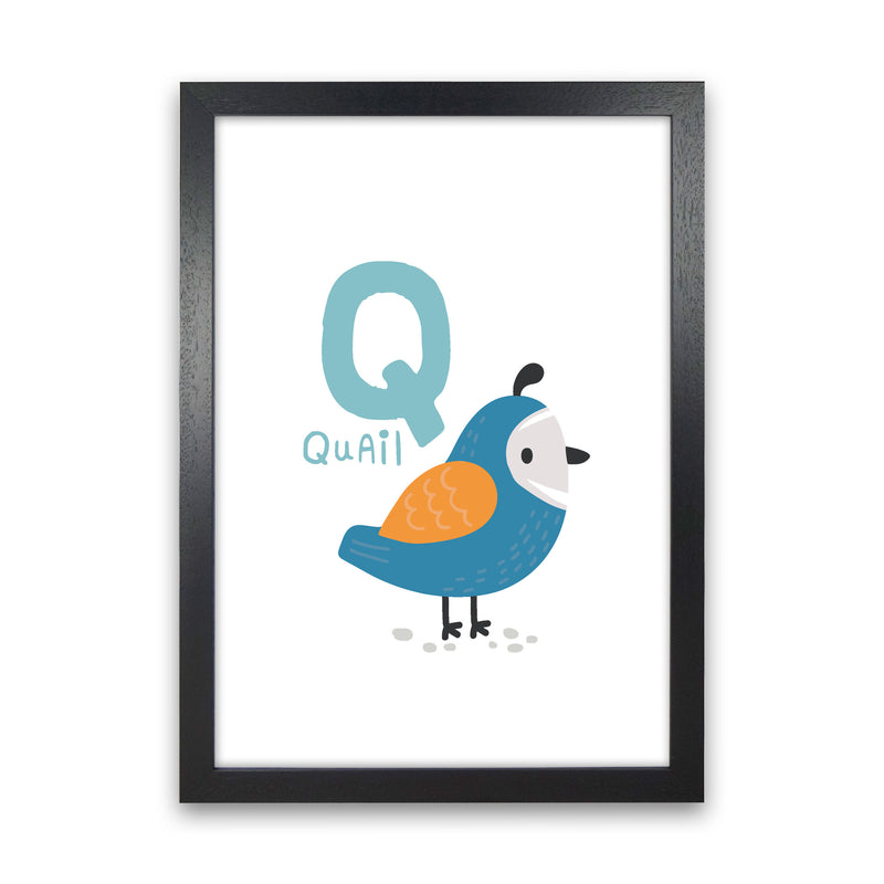 Alphabet Animals, Q Is For Quail Framed Nursey Wall Art Print Black Grain