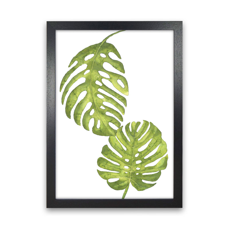 Monstera Leaf Modern Print, Framed Botanical & Nature Art Print Black Grain