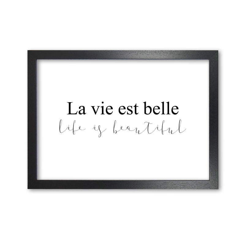 La Vie Est Belle Framed Typography Wall Art Print Black Grain