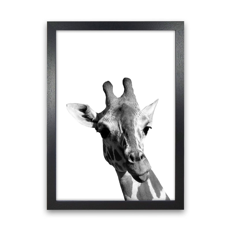 Black And White Giraffe Modern Print Animal Art Print Black Grain