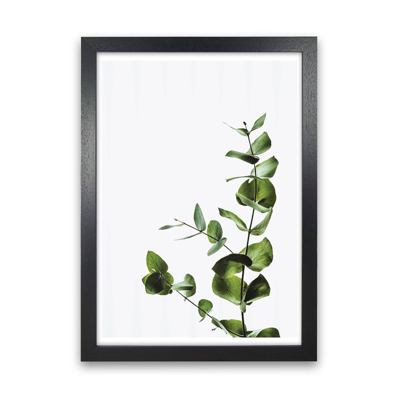 Elegant Green Plant Modern Print, Framed Botanical & Nature Art Print Black Grain