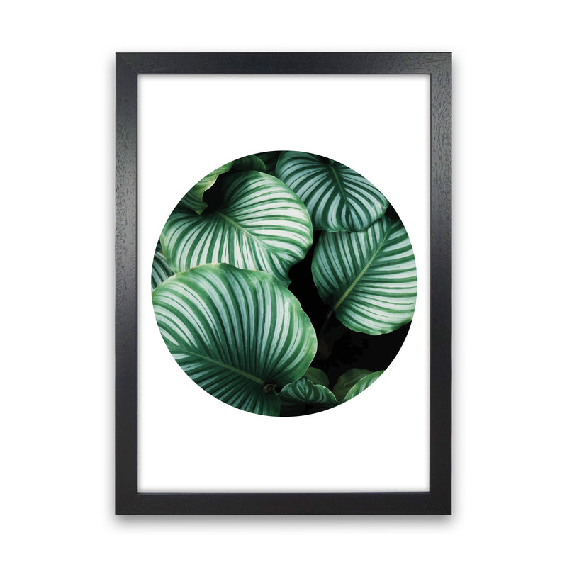 Green Leaves Circle Modern Print, Framed Botanical & Nature Art Print Black Grain