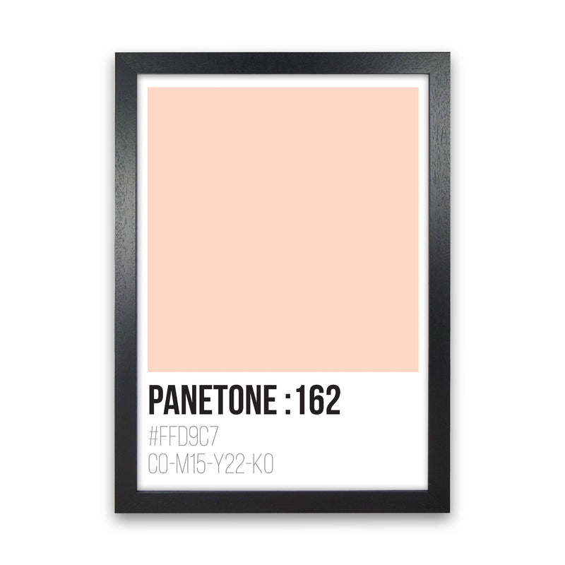 Panetone Colours 162 Modern Print Black Grain