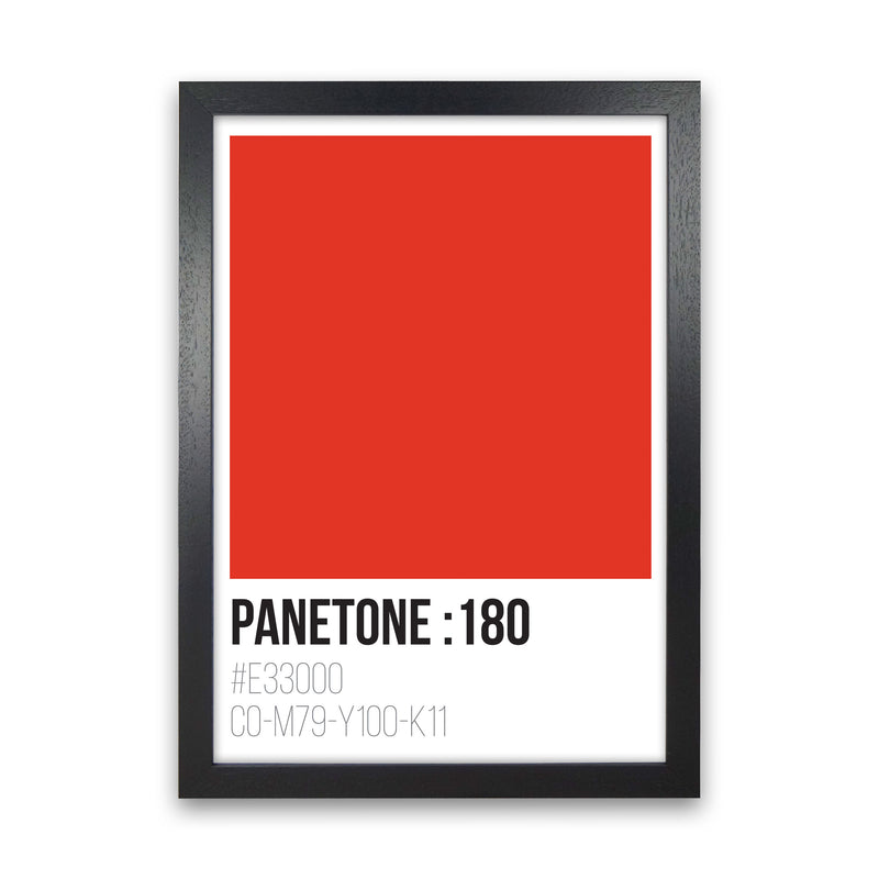 Panetone Colours 180 Modern Print Black Grain