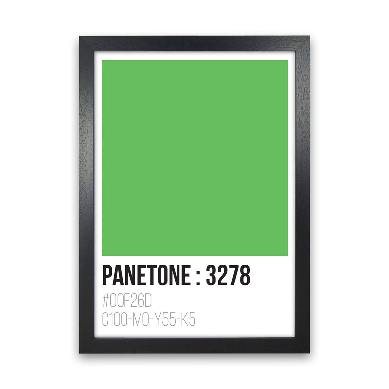 Panetone Colours 3278 Modern Print Black Grain