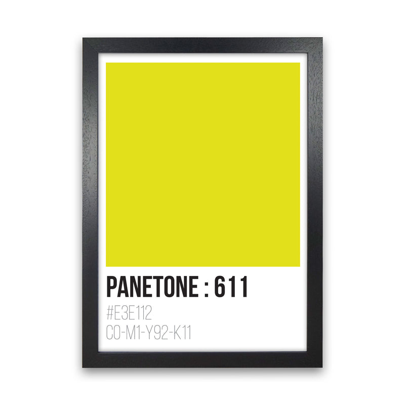 Panetone Colours 611 Modern Print Black Grain