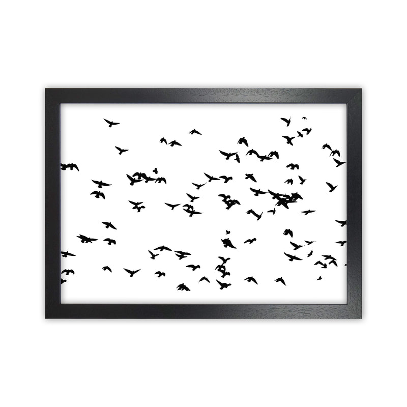 Flock Of Birds Landscape Art Print by Pixy Paper Black Grain