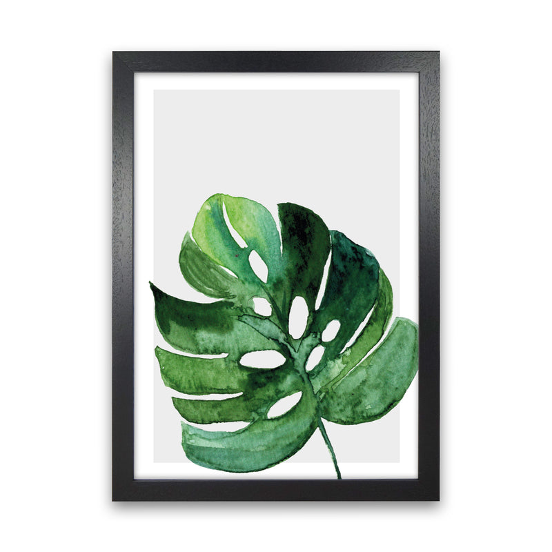Leaf With Grey Back Exotic  Art Print by Pixy Paper Black Grain