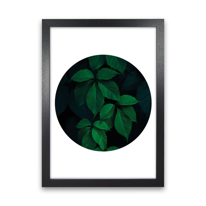Deep Green Leaf Circle  Art Print by Pixy Paper Black Grain
