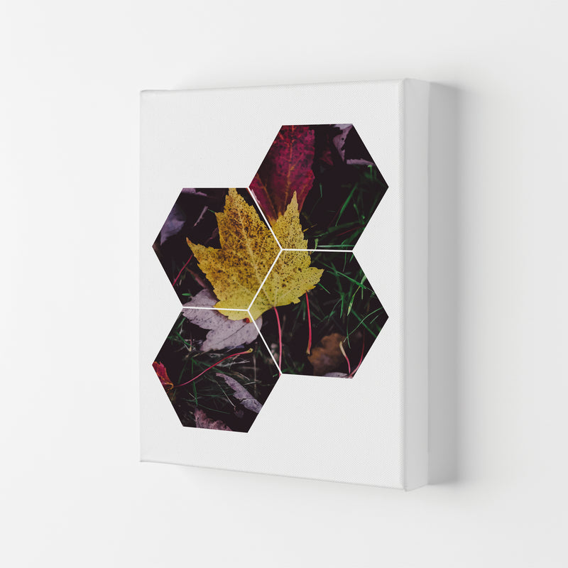 Leaf And Grass Abstract Hexagons Modern Print Canvas