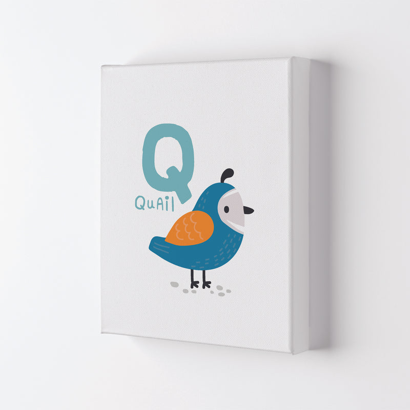 Alphabet Animals, Q Is For Quail Framed Nursey Wall Art Print Canvas