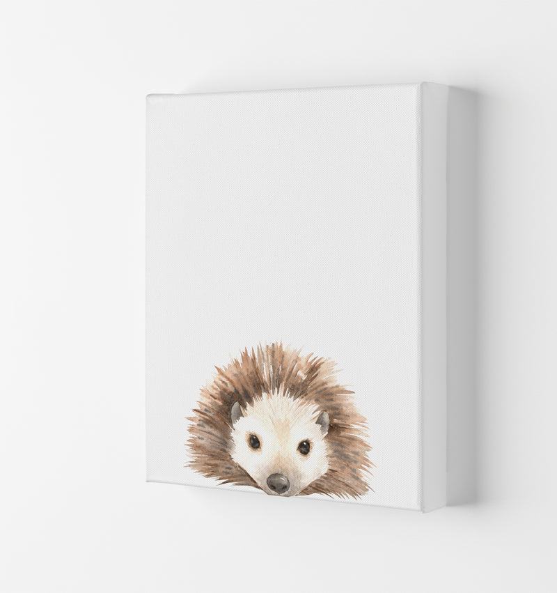 Forest Friends, Cute Hedgehog Modern Print Animal Art Print Canvas