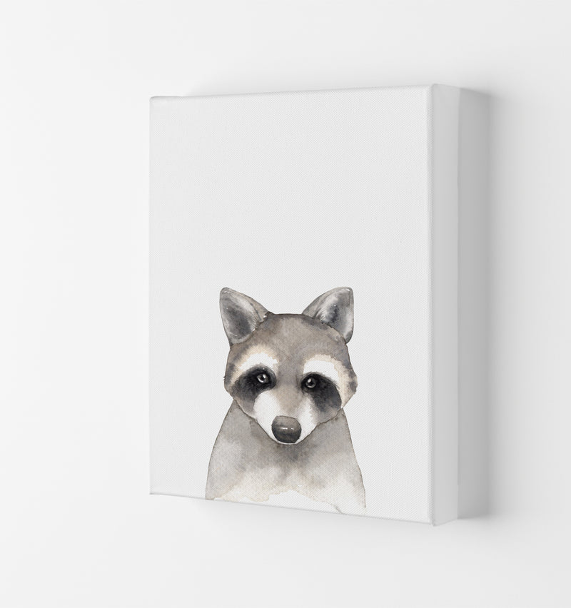 Forest Friends, Cute Raccoon Modern Print Animal Art Print Canvas