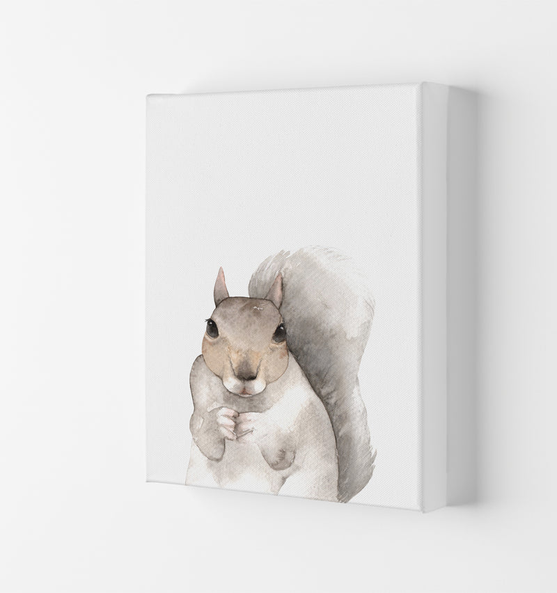Forest Friends, Cute Squirrel Modern Print Animal Art Print Canvas