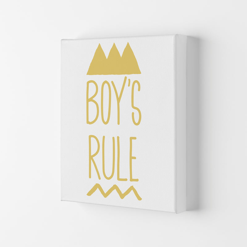 Boys Rule Gold Framed Nursey Wall Art Print Canvas