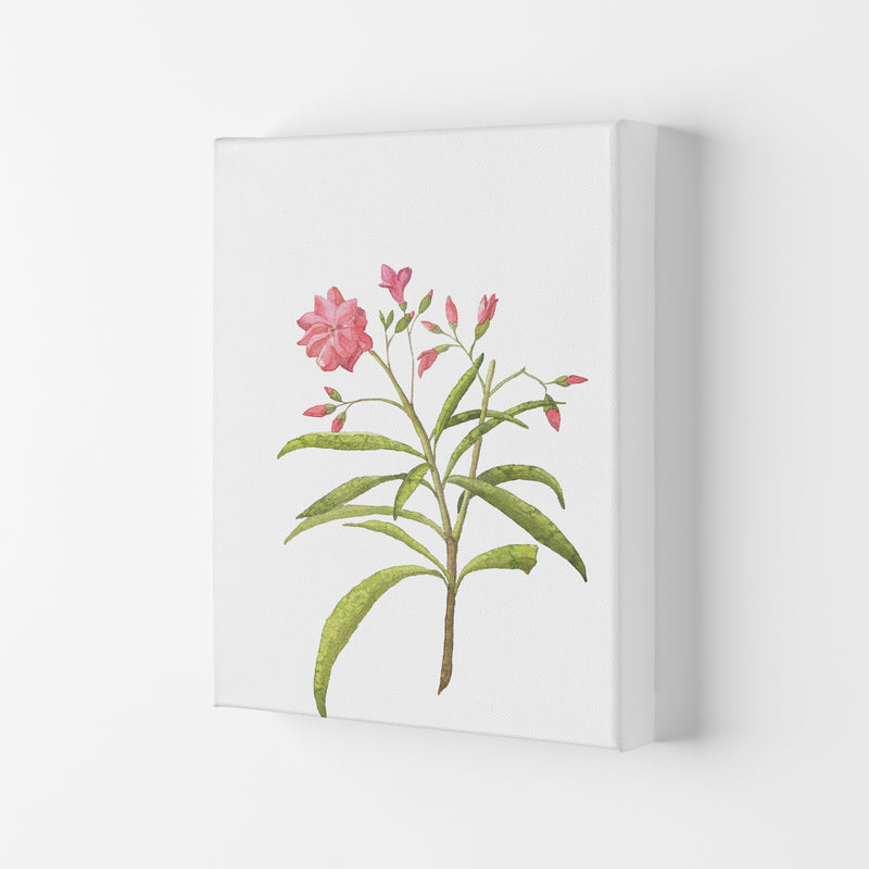 Pink Flower Modern Print, Framed Botanical & Nature Art Print Canvas
