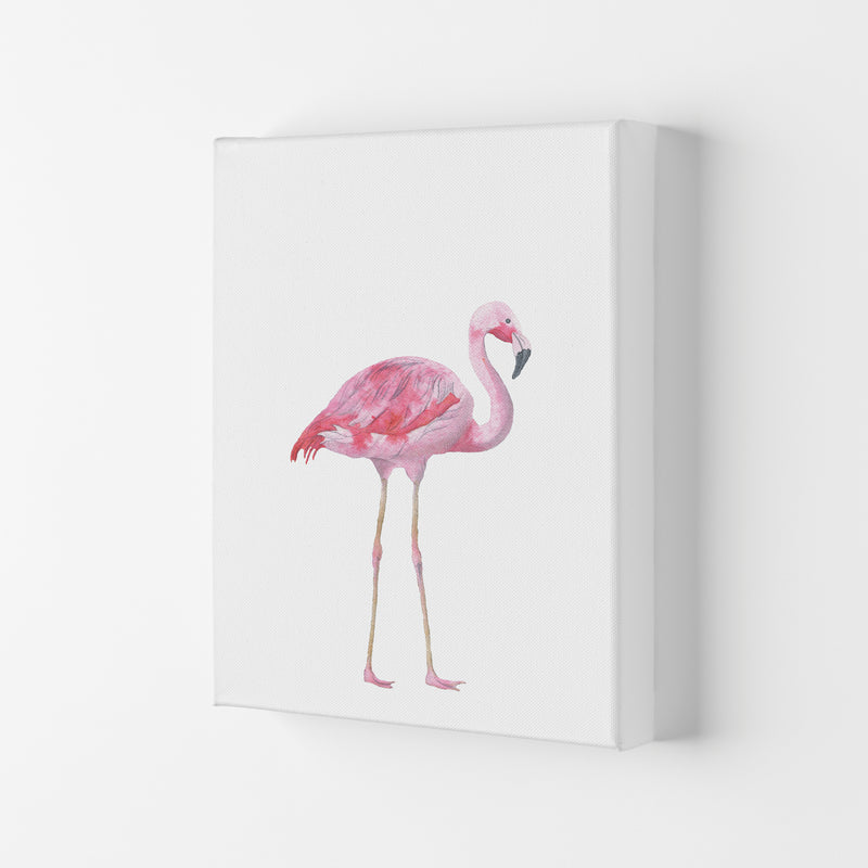 Pink Flamingo Modern Print Animal Art Print Canvas