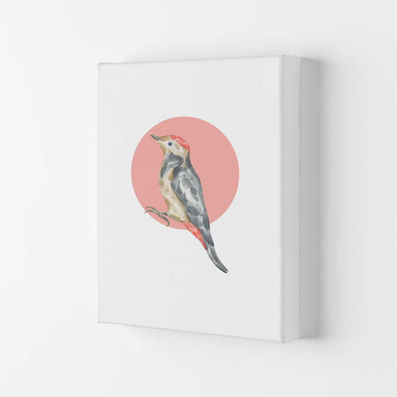 Watercolour Bird With Red Circle Modern Print Animal Art Print Canvas