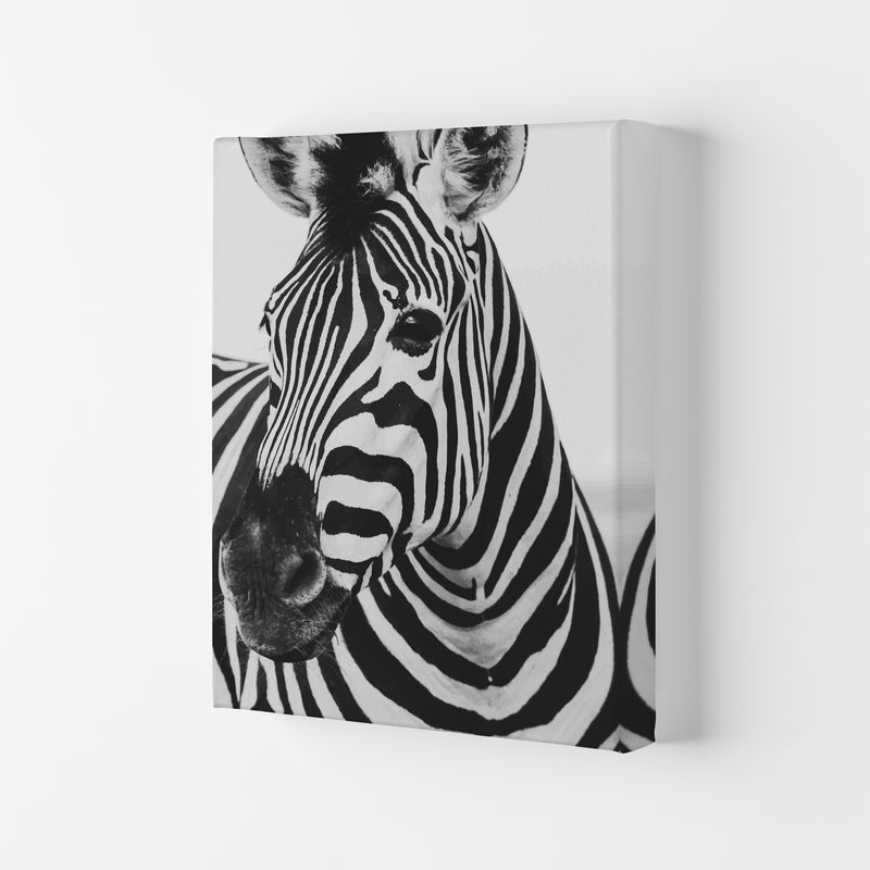Black And White Zebra Modern Print Animal Art Print Canvas