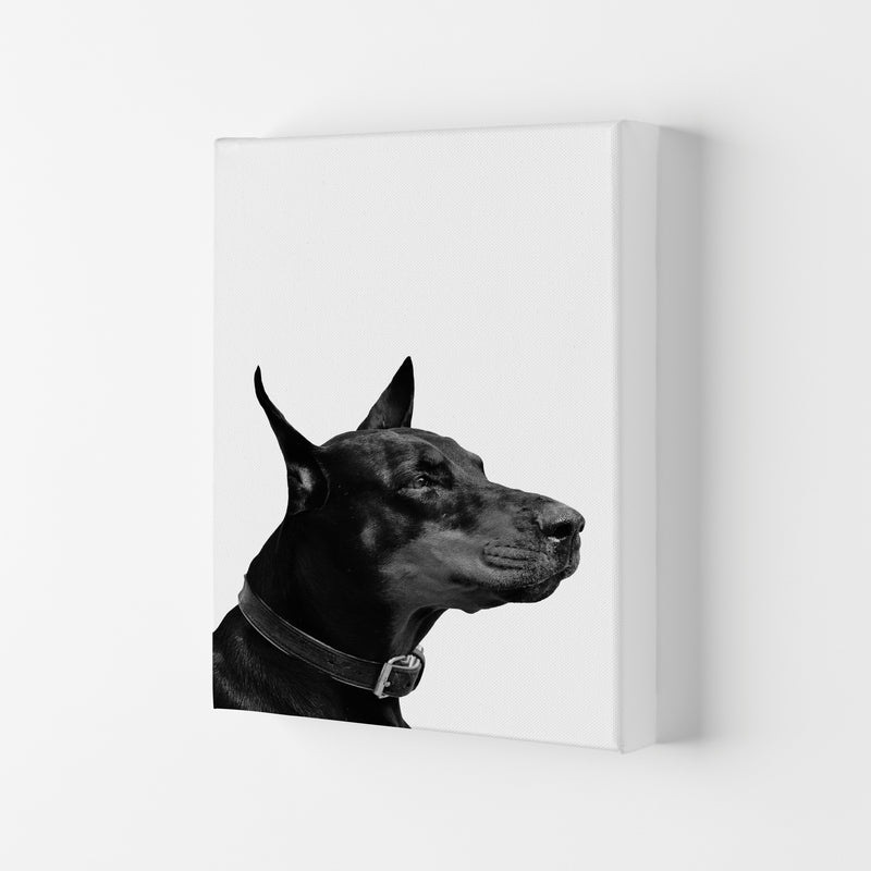 Black And White Dog Modern Print Animal Art Print Canvas