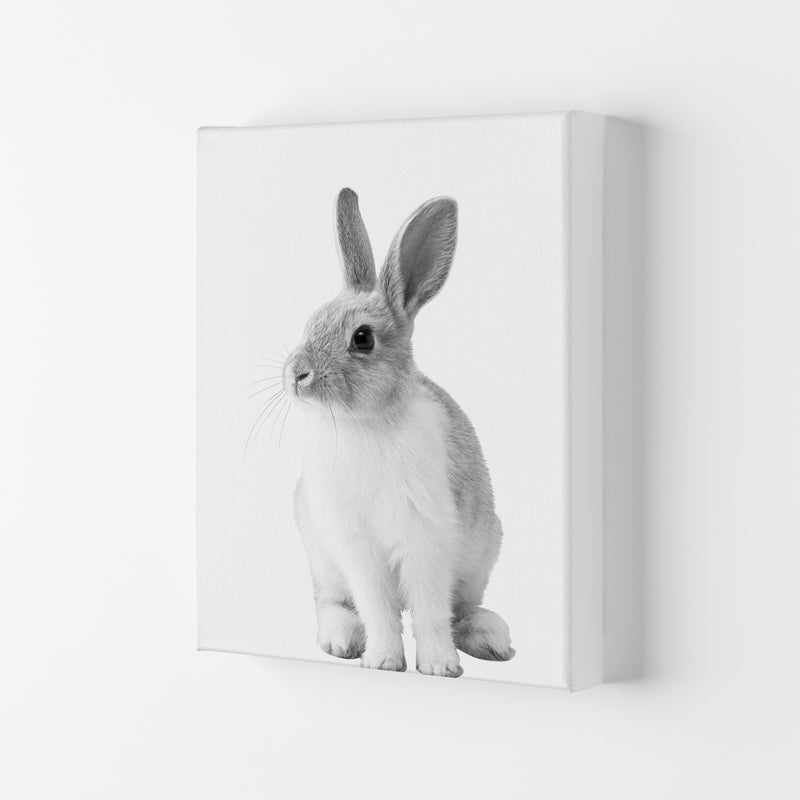 Black And White Bunny Modern Print Animal Art Print Canvas