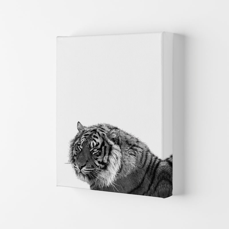Black And White Tiger Modern Print Animal Art Print Canvas