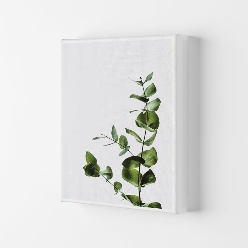Elegant Green Plant Modern Print, Framed Botanical & Nature Art Print Canvas