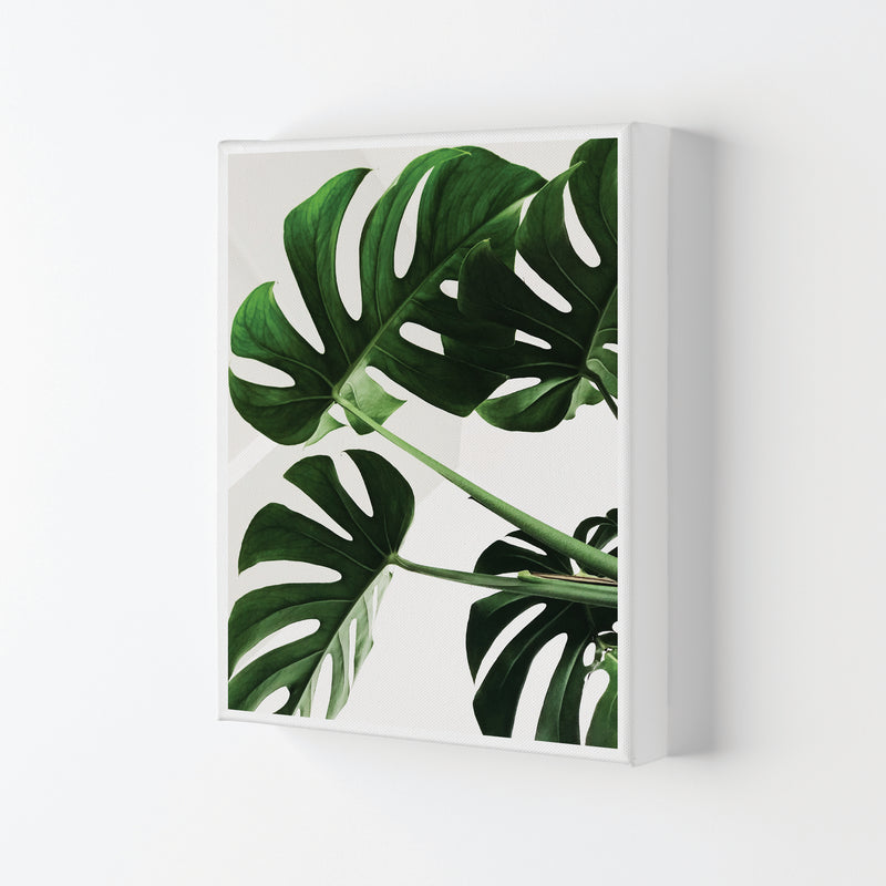 Monstera Leaf Modern Print, Framed Botanical & Nature Art Print Canvas